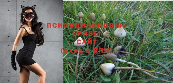 2c-b Дмитровск