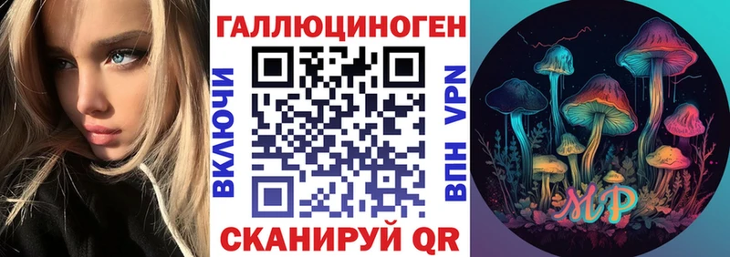 Псилоцибиновые грибы ЛСД  darknet какой сайт  Александровск-Сахалинский 